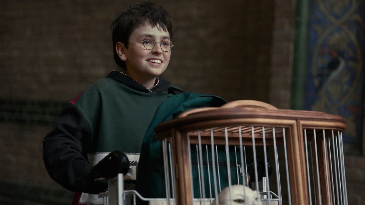 The CEO of HBO says that the Harry Potter series should premiere "almost" one season a year
