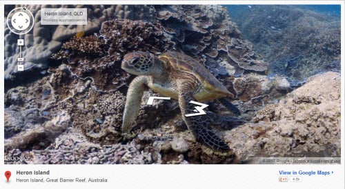 Tartaruga marina Google Maps
