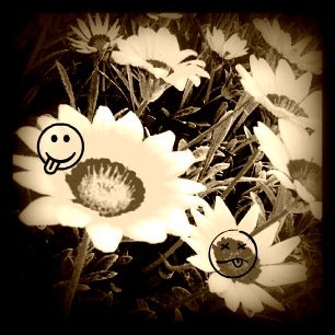 foto con troppi effetti