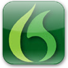 dragon-naturallyspeaking