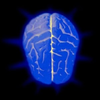 tests-di-logica-test-di-qi