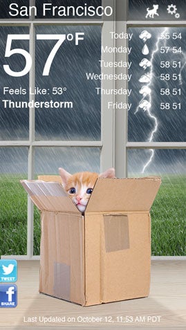 weather kitty