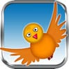 Fly Birdie