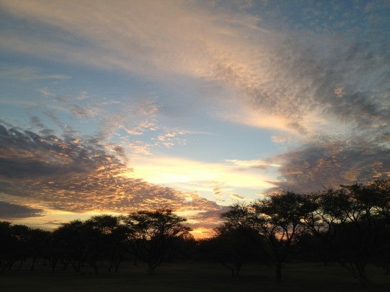 under African skies