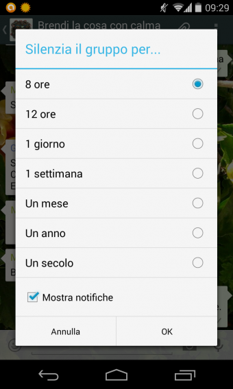 whatsapp silezia per un secolo