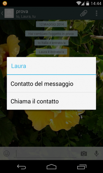 Chiamate vocali WhatsApp