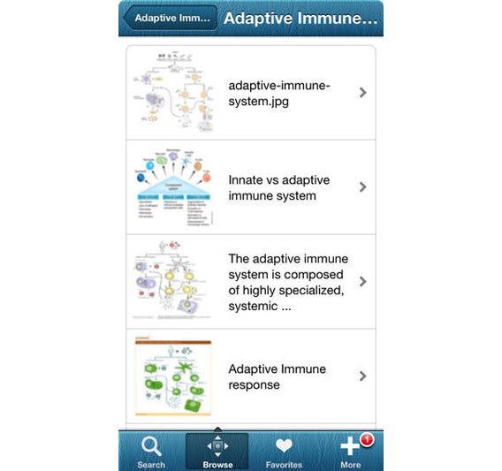 1000 allergy screenshot