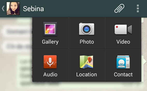 WhatsApp - chat options
