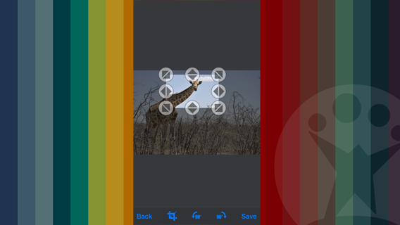 Crop in azione