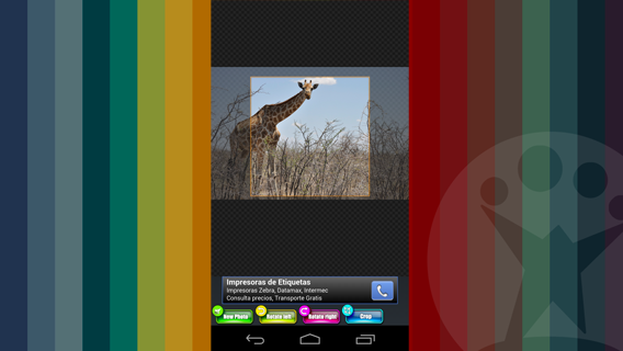 Photo crop screenshot