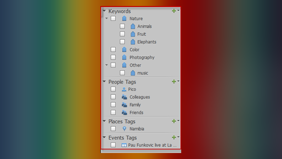 PSE Tags tab