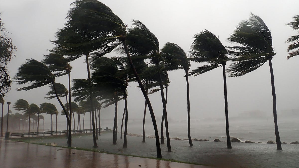Tempesta tropicale Arthur e tornado in arrivo: le app meteo da usare ora