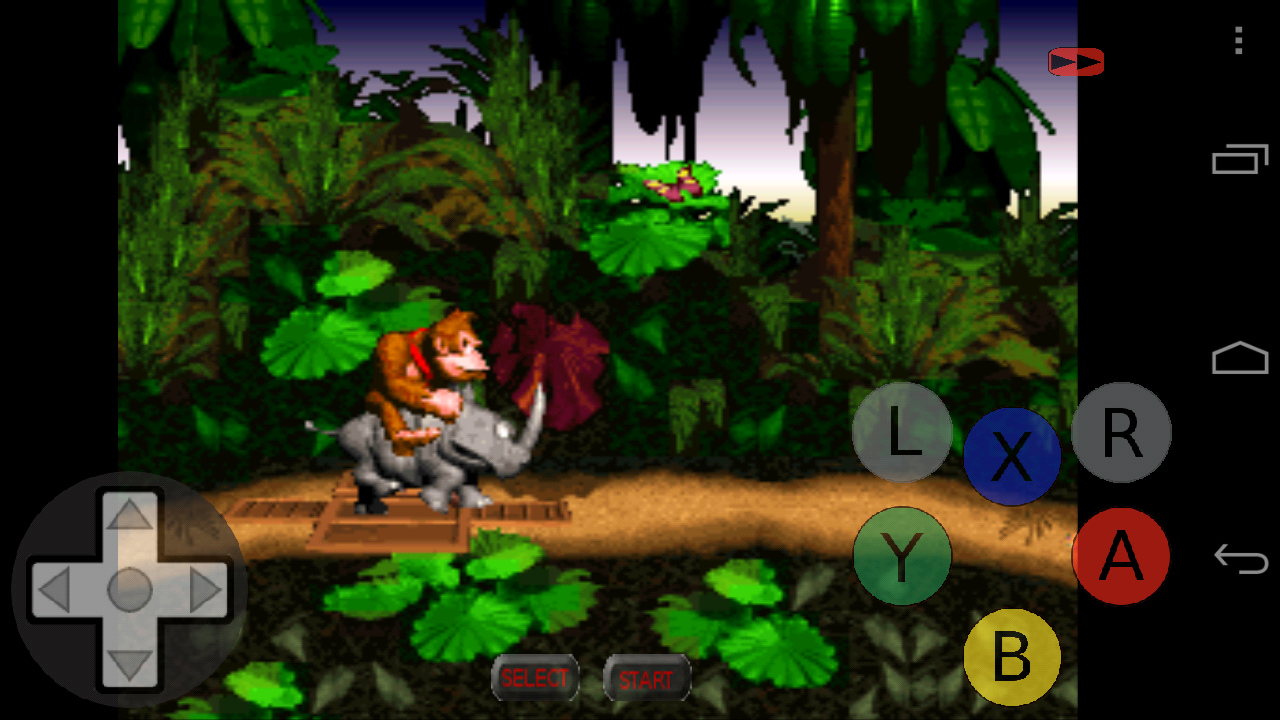 Donkey Kong Country