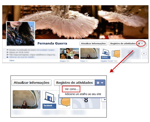 Facebook - ferramenta "Ver como..."