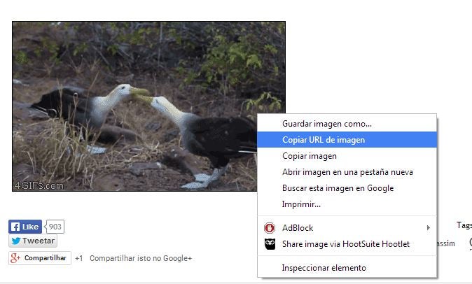 GIF animado no Facebook Messenger