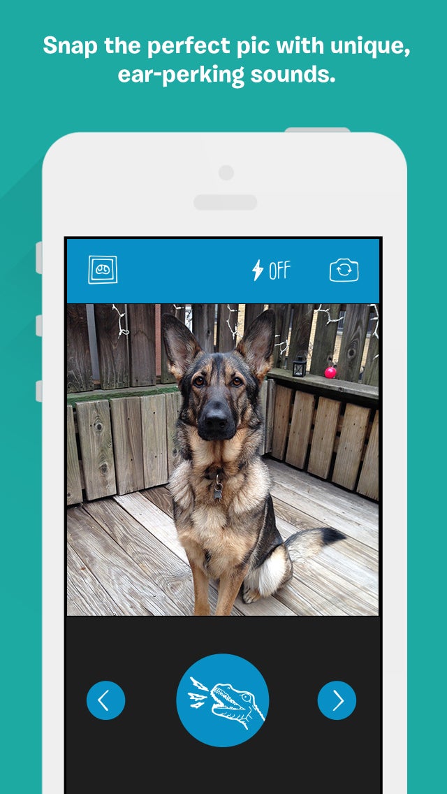 BarkCam distrai os cachorros com sons