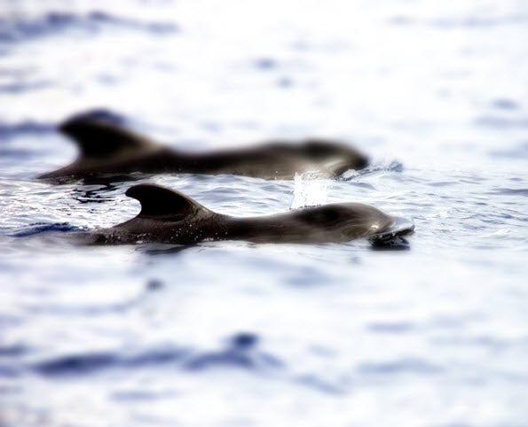 tilt-shift_6
