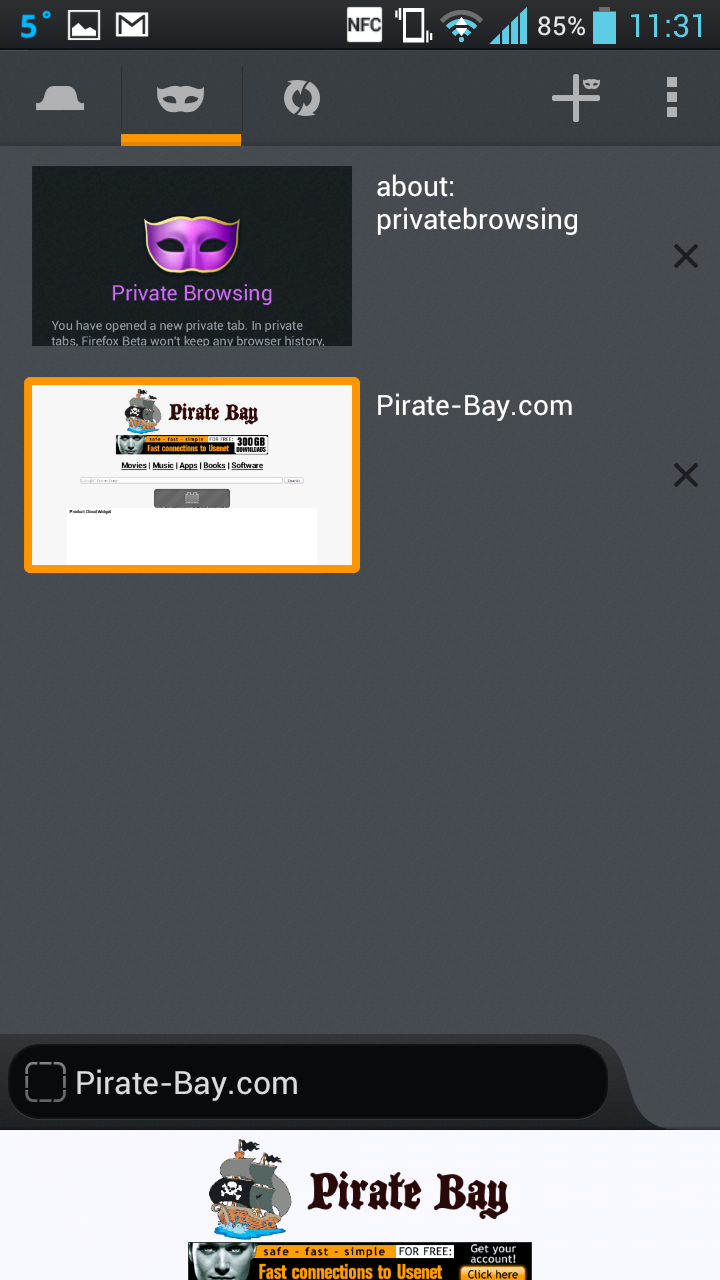 Screenshot_android_private_browsing_00