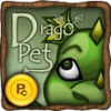 drachen pet