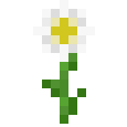Minecraft 1.7: Margerite