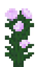 Minecraft 1.7: Pfingstrose