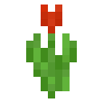 Minecraft 1.7: Rote Tulpe