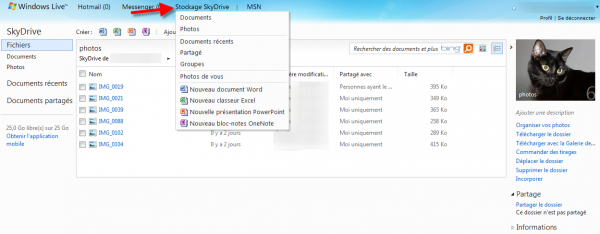 Interface de Skydrive en ligne