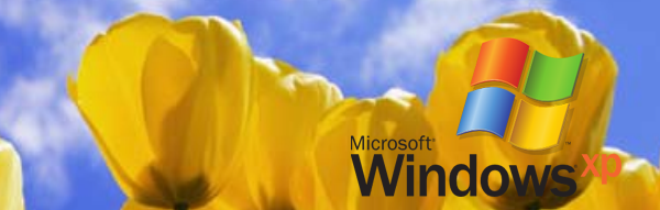 Windows XP Logo