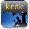 kindle ipad mini