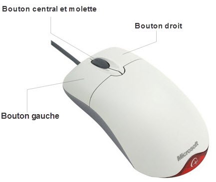 Exemple de souris Softonic