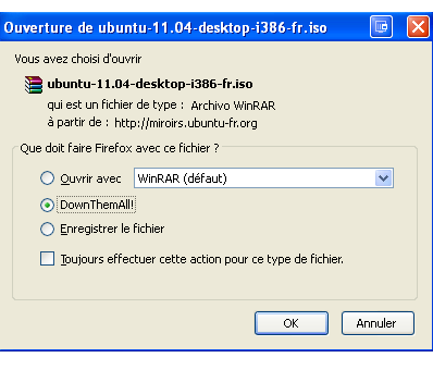 Configuration DownThemAll!