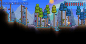 Terraria Terraria