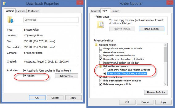 Dossiers cachés sous Windows