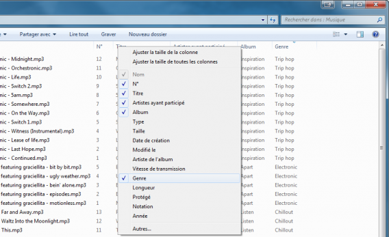 WTO 6 - Comment afficher plus d'options dans l'Explorateur de Windows genre musical