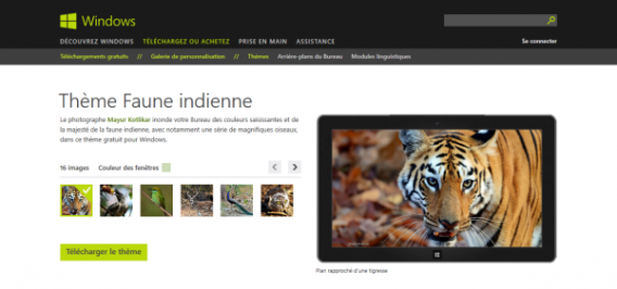 Thème Faune indienne
