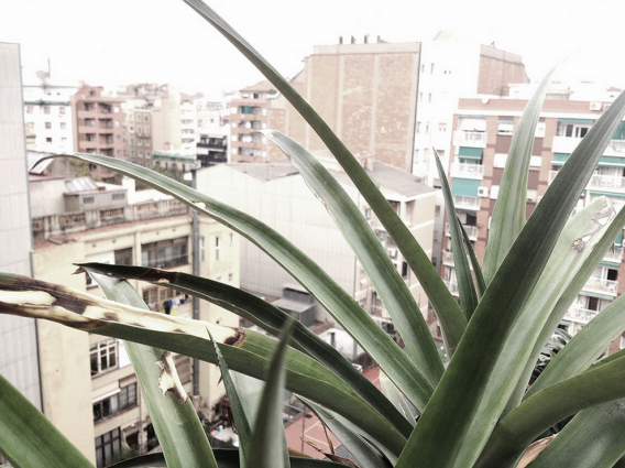 Photo prise avec 645 PRO MK II