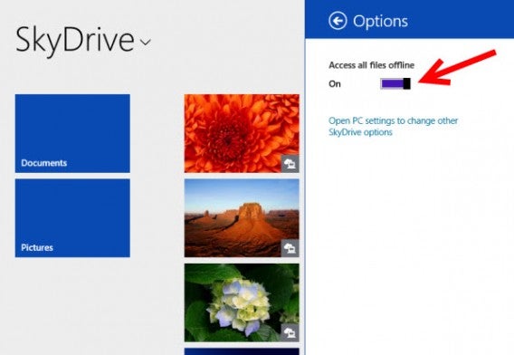 Application SkyDrive