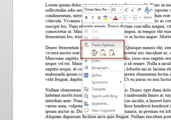 Options de collage Word Options de collage Word