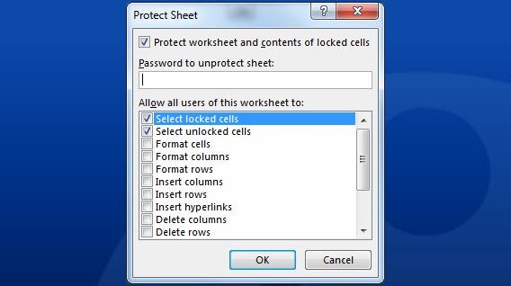 Protect Sheet Protect Sheet