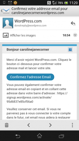 WP confirmation email