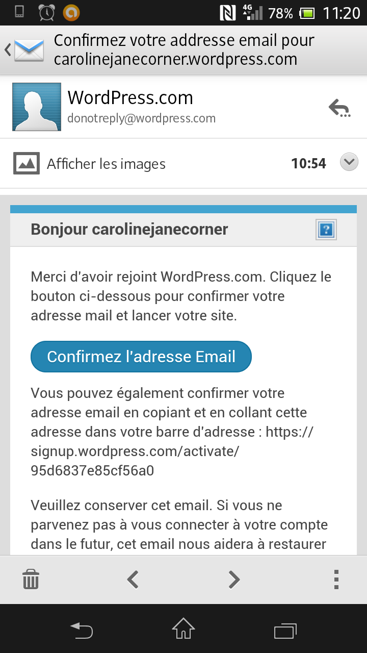 La nuit tombe sur la forêt