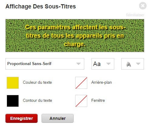 Netflix affichage des sous-titres option