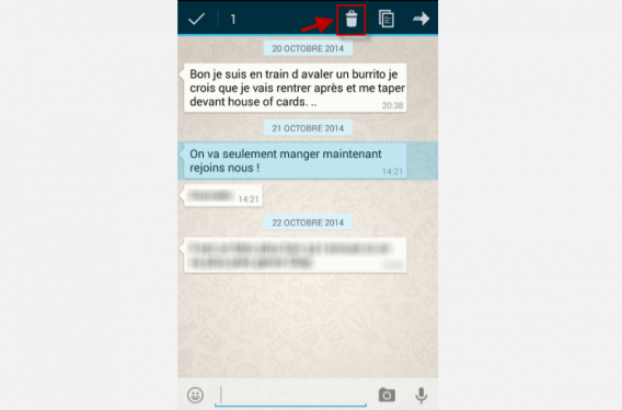 WhatsApp 3-Tapez sur l'icône de la poubelle