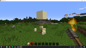 05-8-trucs-cools-sous-minecraft-01