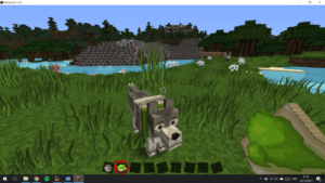 05-8-trucs-cools-sous-minecraft-08