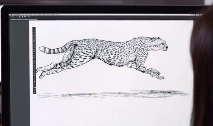 Photoshop creative cloud adobe promo