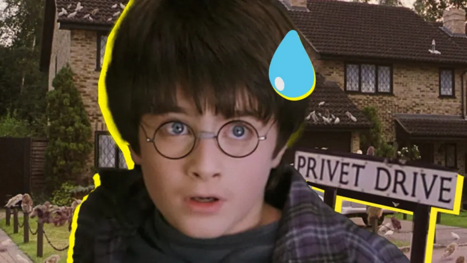 El éxito de Harry Potter está arruinando la vida a una feliz pareja de Privet Drive