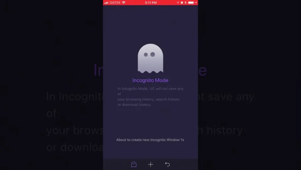 How to Enable Incognito Mode in UC Browser in 3 Steps