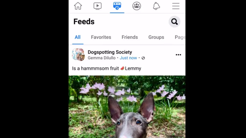 Facebook giving you more control over your feed