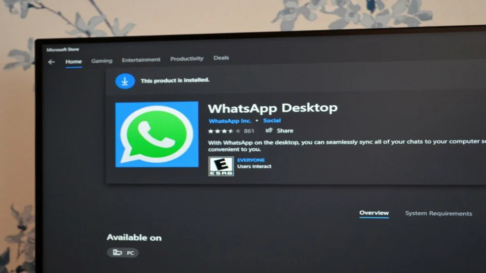 Meta brings Waveforms to WhatsApp Beta for Windows